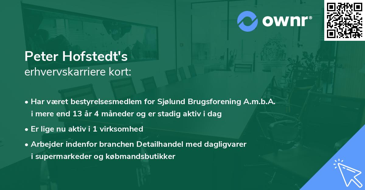 Peter Hofstedt's erhvervskarriere kort