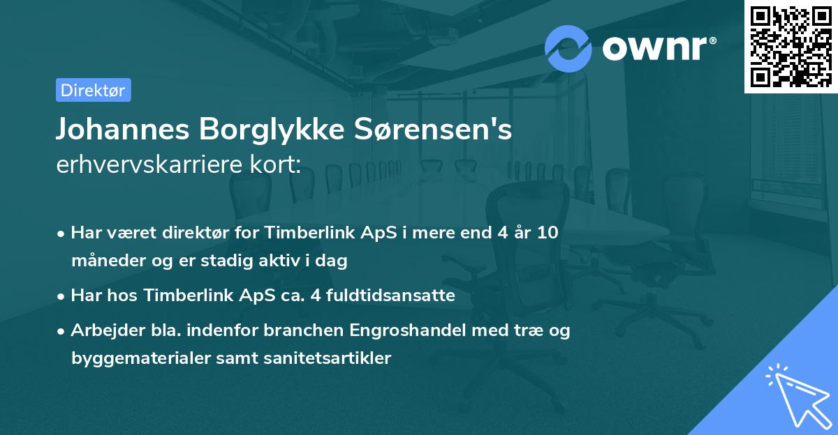Johannes Borglykke Sørensen's erhvervskarriere kort