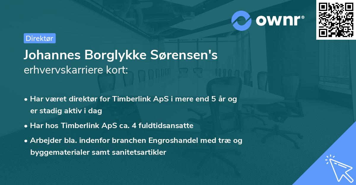 Johannes Borglykke Sørensen's erhvervskarriere kort