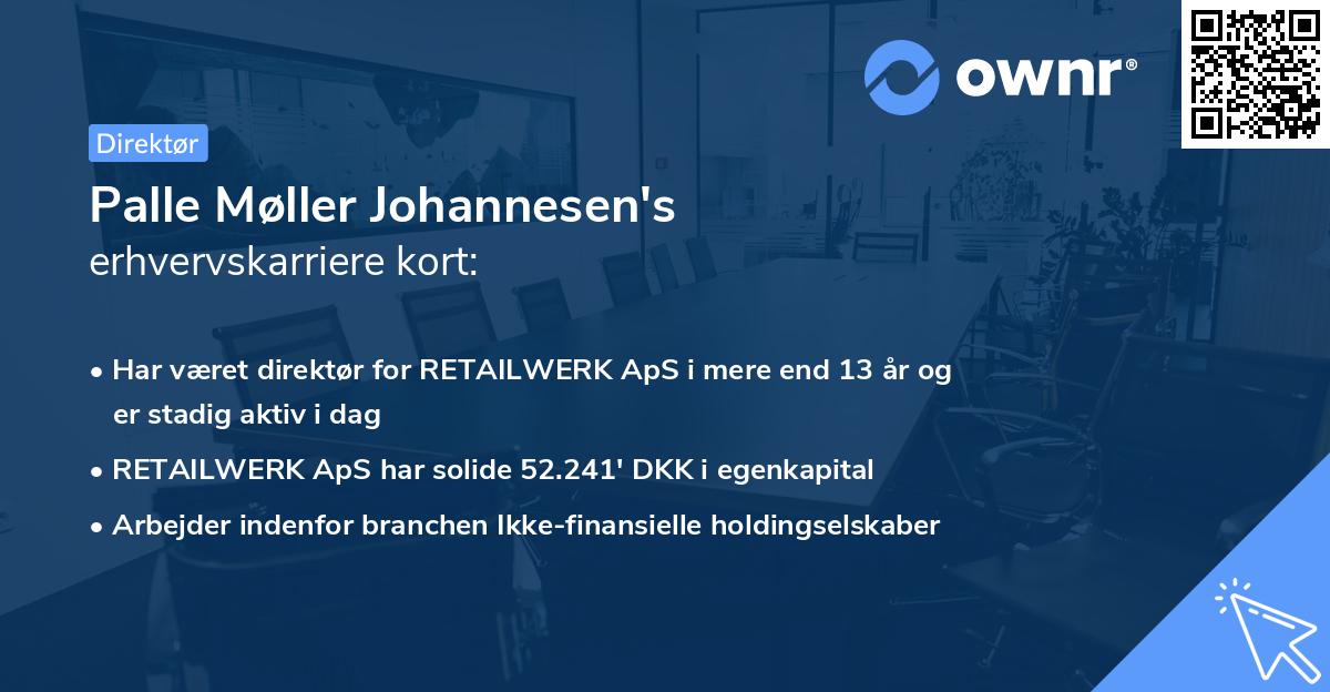 Palle Møller Johannesen's erhvervskarriere kort