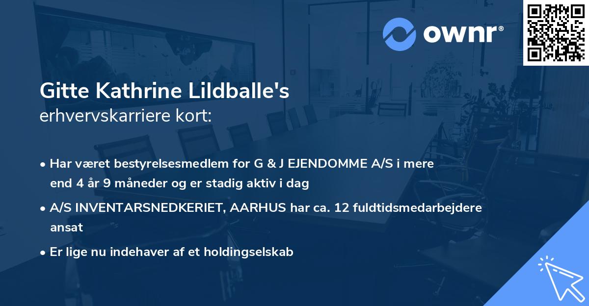 Gitte Kathrine Lildballe's erhvervskarriere kort