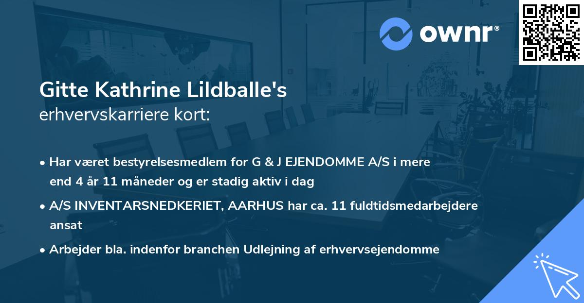 Gitte Kathrine Lildballe's erhvervskarriere kort