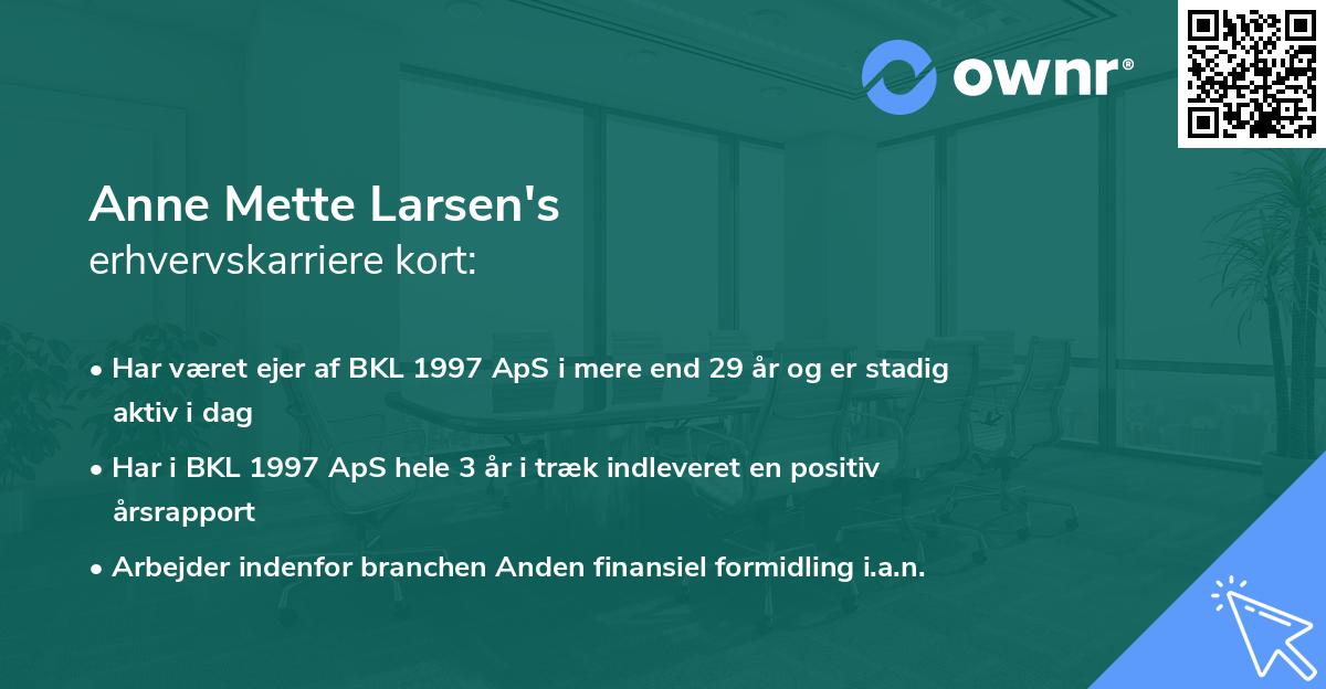 Anne Mette Larsen's erhvervskarriere kort