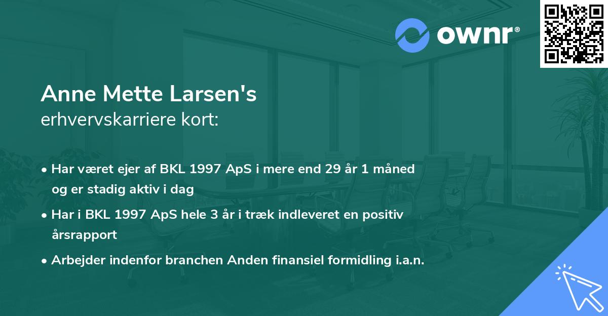 Anne Mette Larsen's erhvervskarriere kort