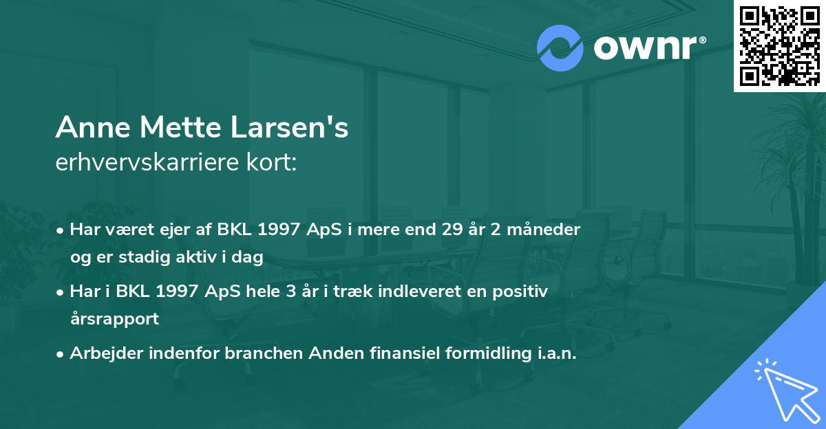 Anne Mette Larsen's erhvervskarriere kort