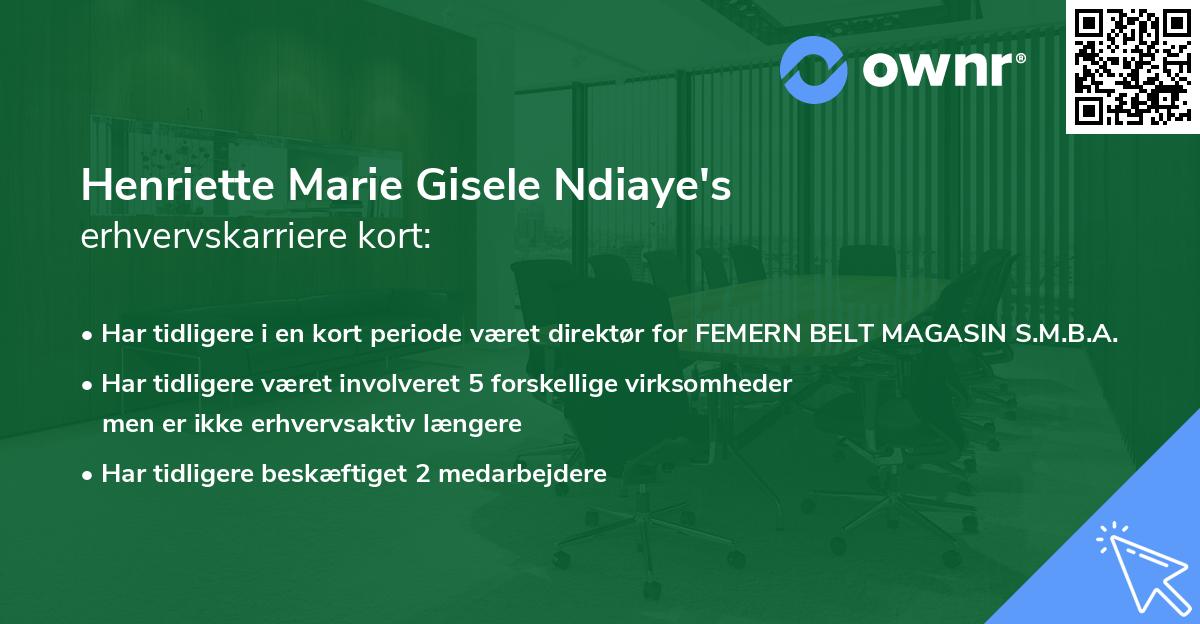 Henriette Marie Gisele Ndiaye's erhvervskarriere kort