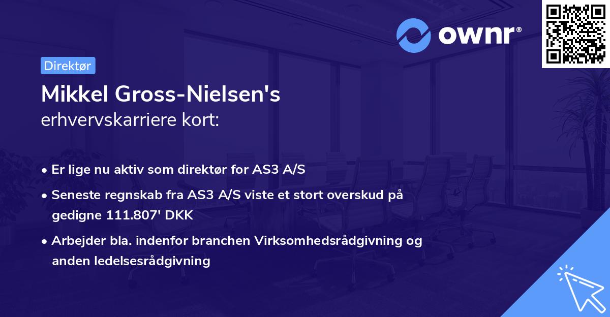 Mikkel Gross-Nielsen's erhvervskarriere kort