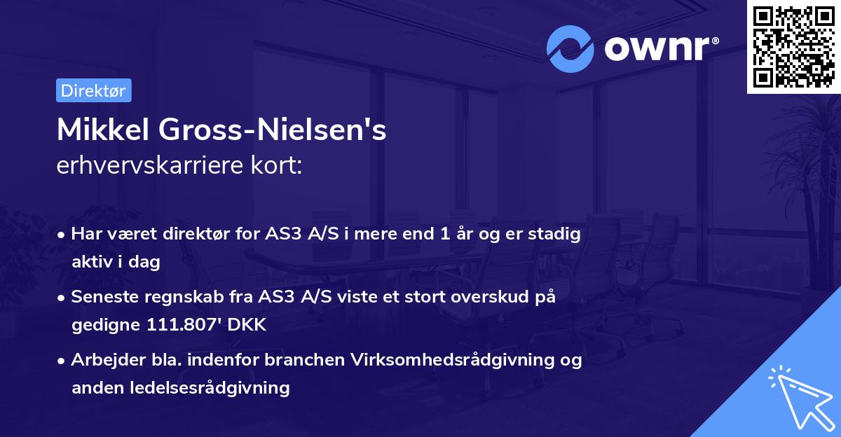 Mikkel Gross-Nielsen's erhvervskarriere kort
