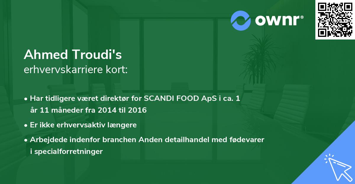 Ahmed Troudi's erhvervskarriere kort