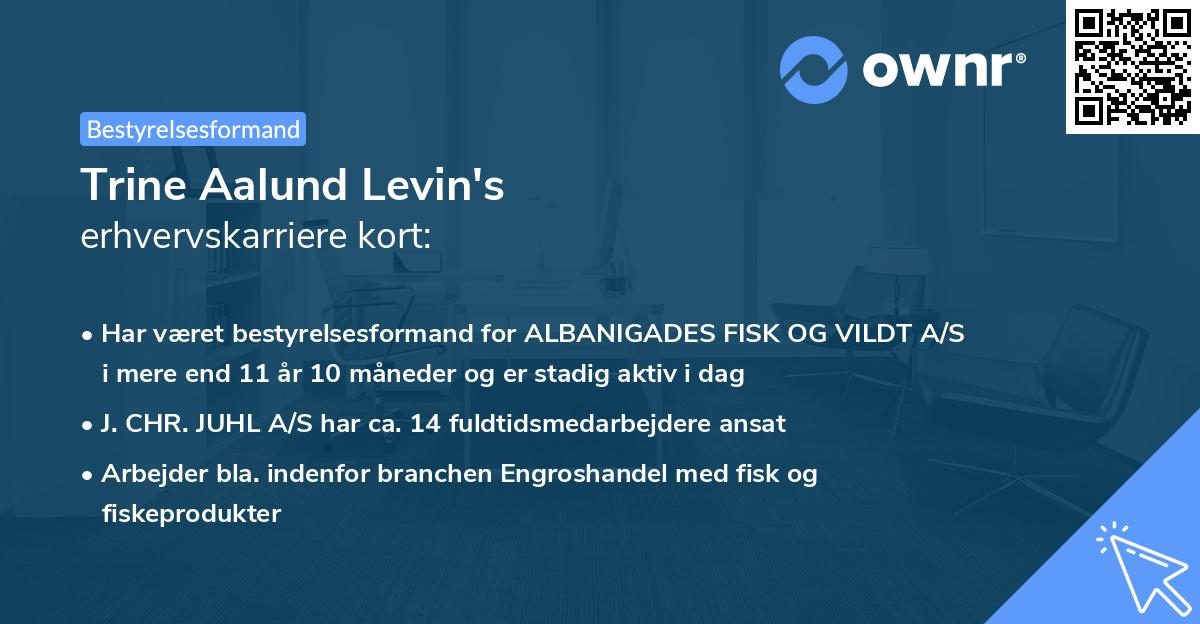 Trine Aalund Levin's erhvervskarriere kort
