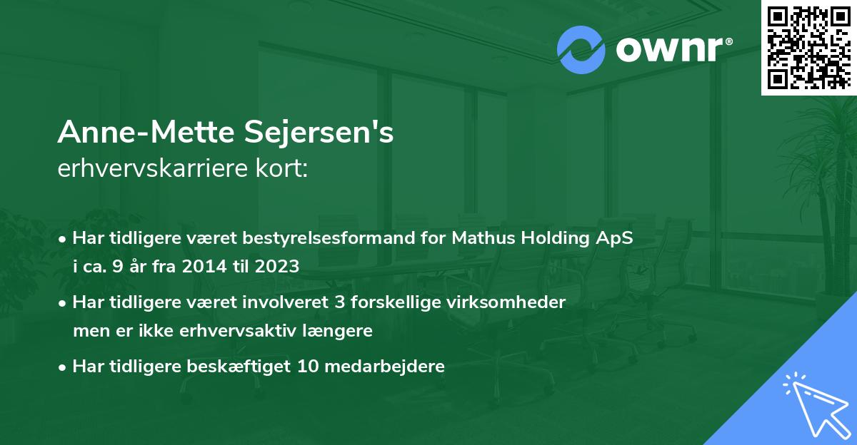 Anne-Mette Sejersen's erhvervskarriere kort