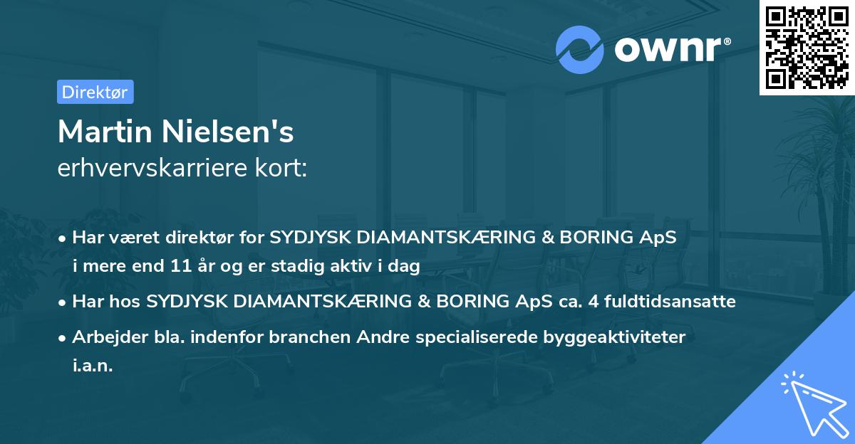 Martin Nielsen's erhvervskarriere kort