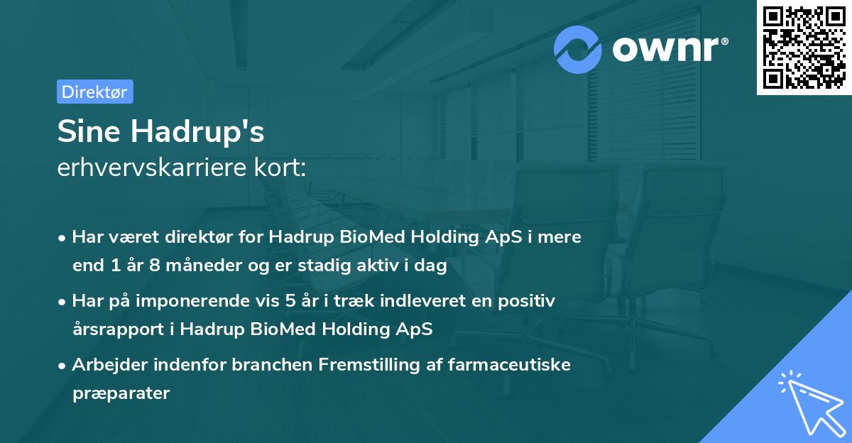 Sine Hadrup's erhvervskarriere kort