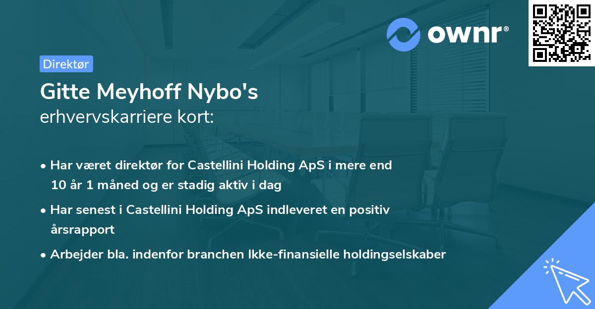 Gitte Meyhoff Nybo's erhvervskarriere kort