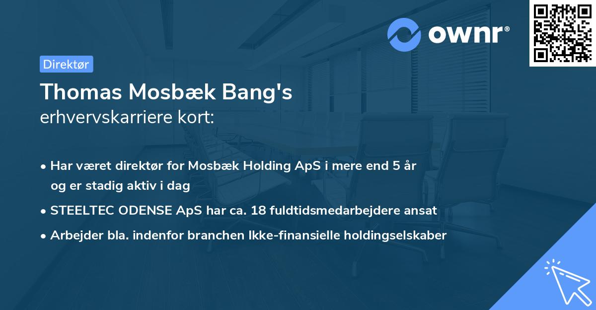Thomas Mosbæk Bang's erhvervskarriere kort