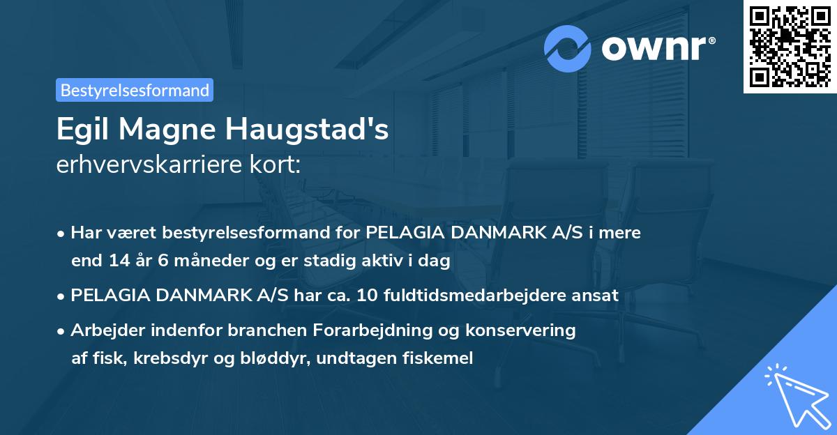 Egil Magne Haugstad's erhvervskarriere kort