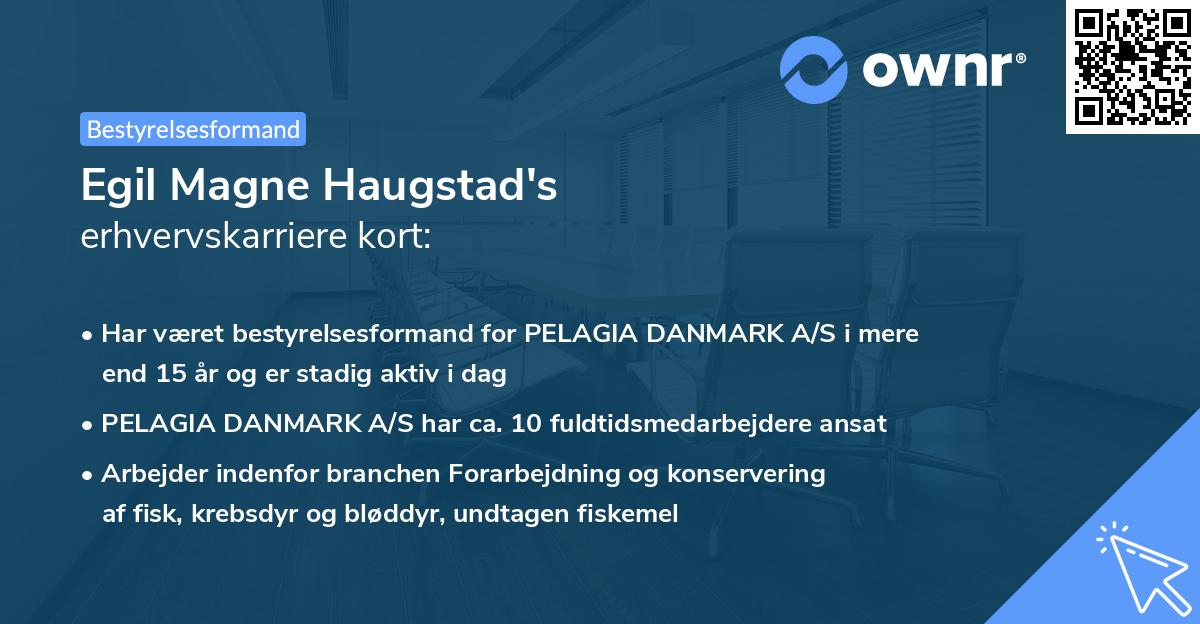 Egil Magne Haugstad's erhvervskarriere kort