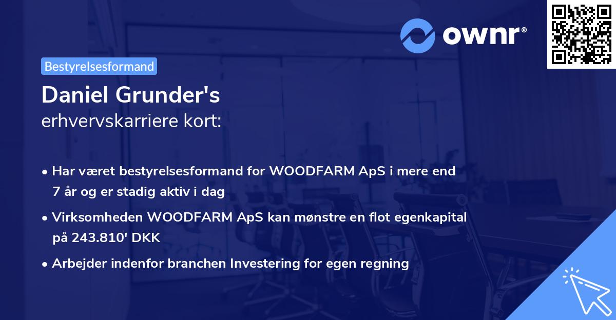 Daniel Grunder's erhvervskarriere kort