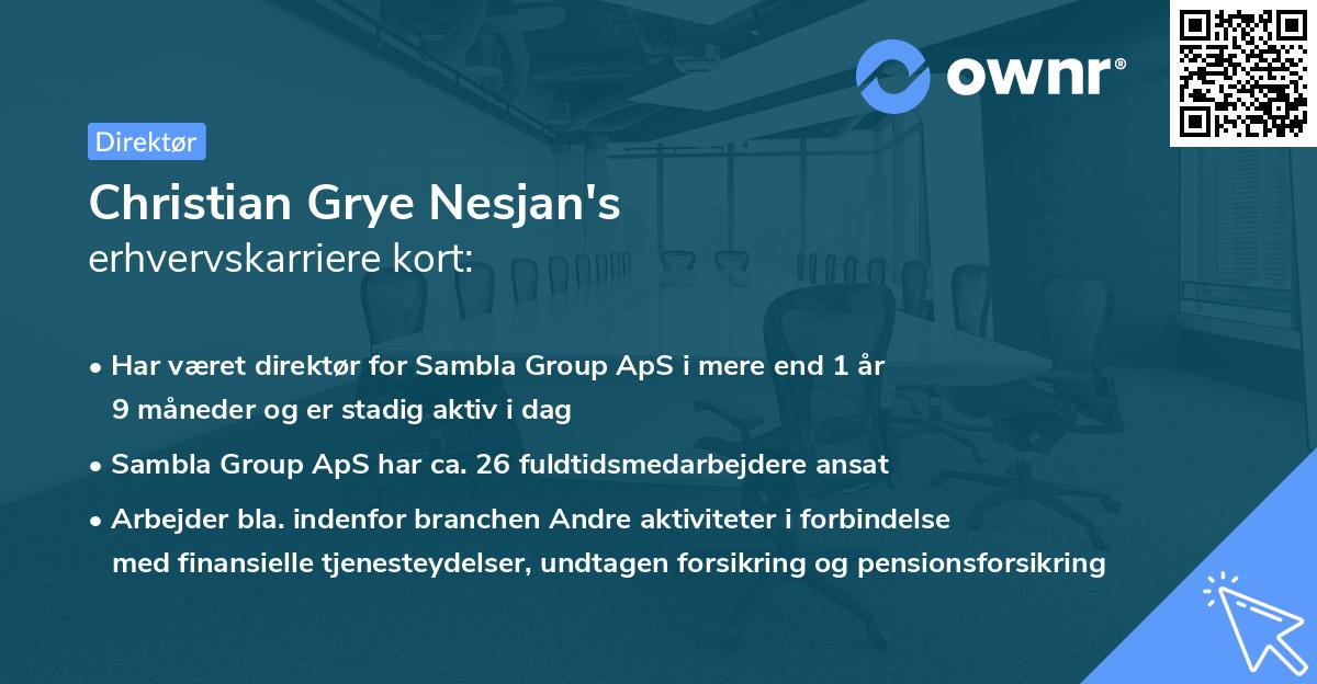 Christian Grye Nesjan's erhvervskarriere kort