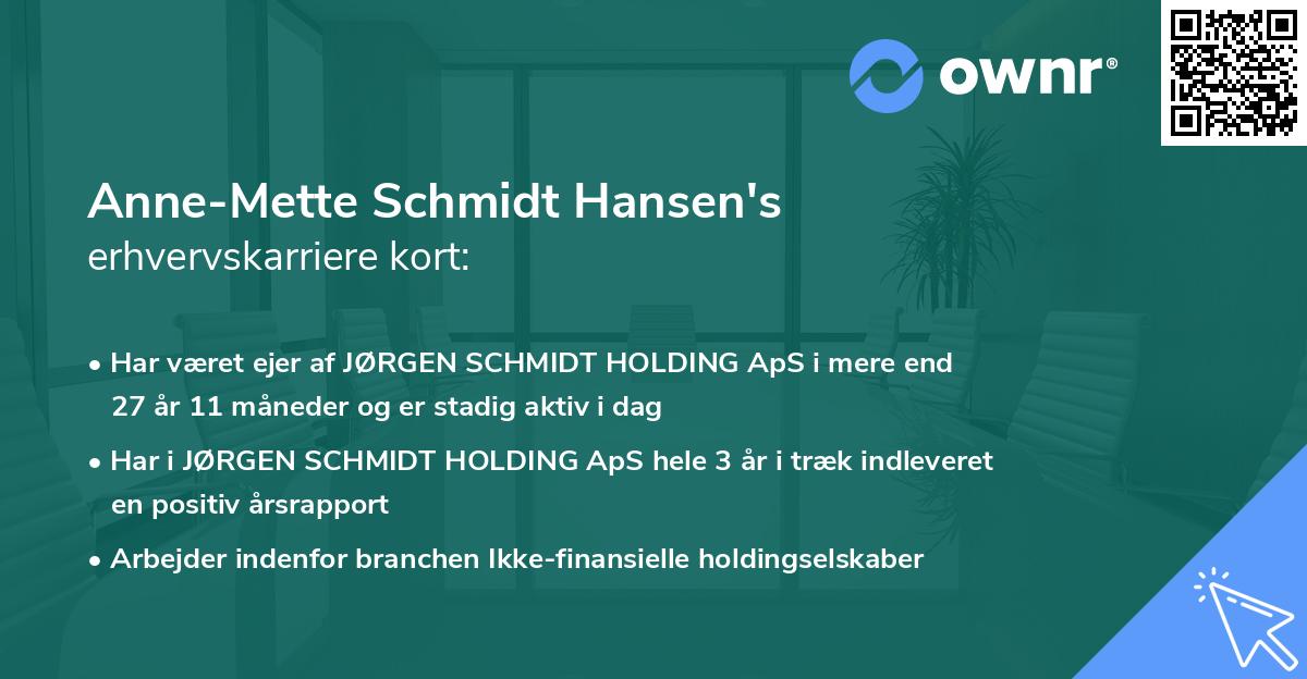 Anne-Mette Schmidt Hansen's erhvervskarriere kort