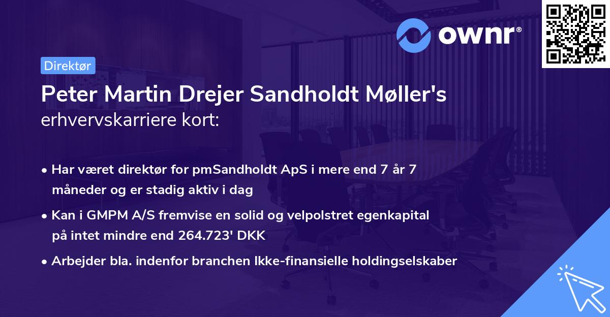 Peter Martin Drejer Sandholdt Møller's erhvervskarriere kort