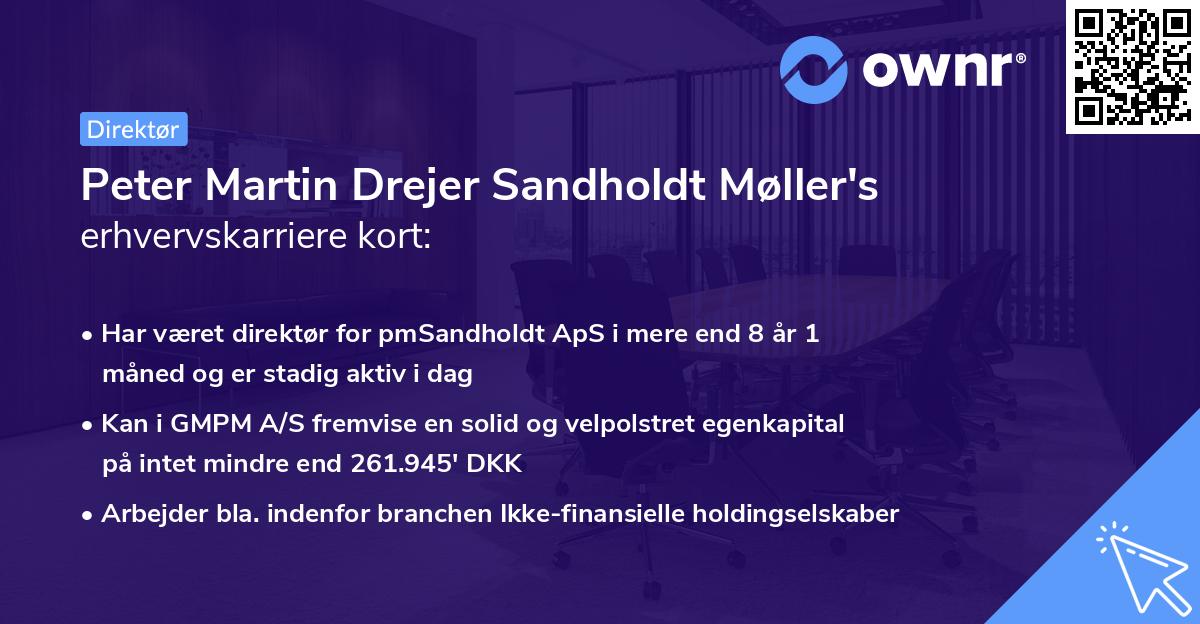 Peter Martin Drejer Sandholdt Møller's erhvervskarriere kort