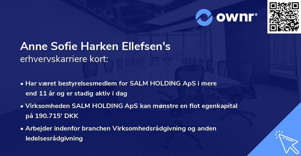 Anne Sofie Harken Ellefsen's erhvervskarriere kort