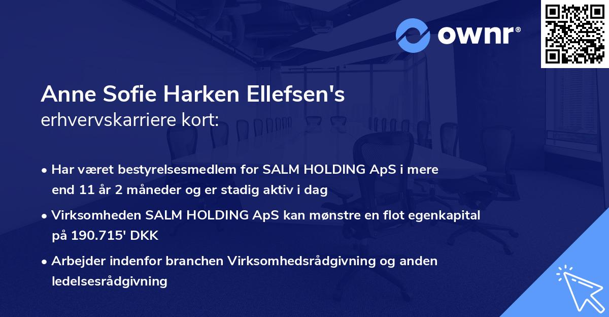 Anne Sofie Harken Ellefsen's erhvervskarriere kort