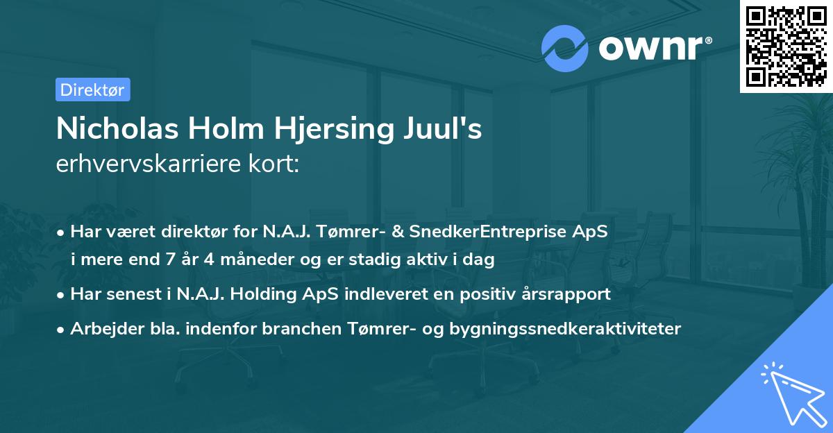 Nicholas Holm Hjersing Juul's erhvervskarriere kort