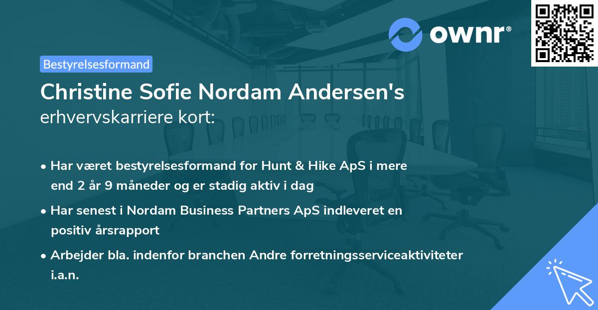 Christine Sofie Nordam Andersen's erhvervskarriere kort