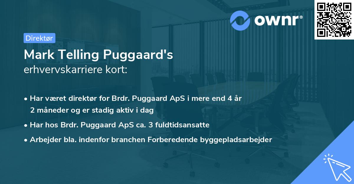 Mark Telling Puggaard's erhvervskarriere kort
