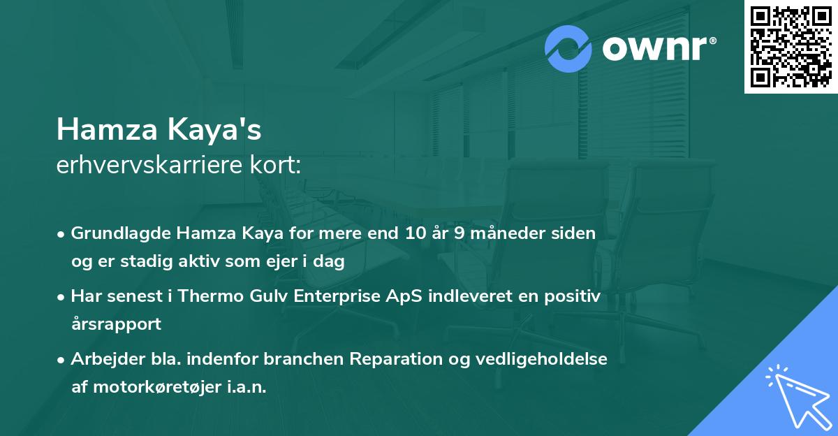 Hamza Kaya's erhvervskarriere kort