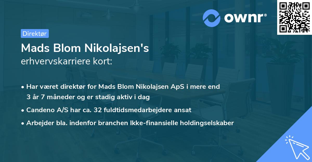 Mads Blom Nikolajsen's erhvervskarriere kort