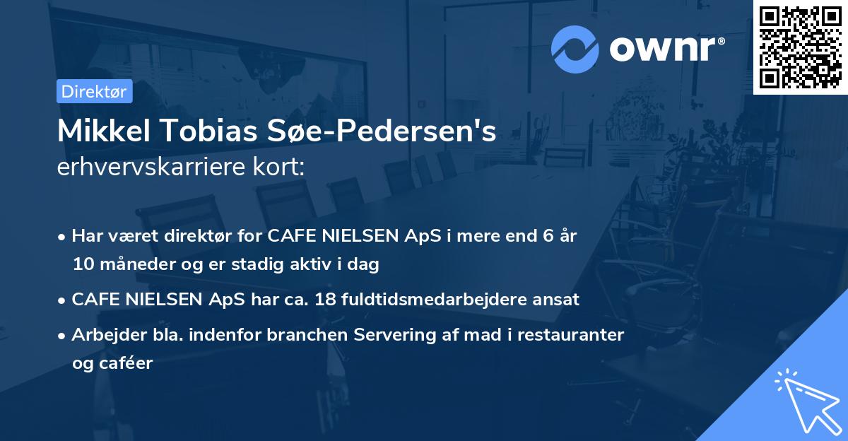 Mikkel Tobias Søe-Pedersen's erhvervskarriere kort