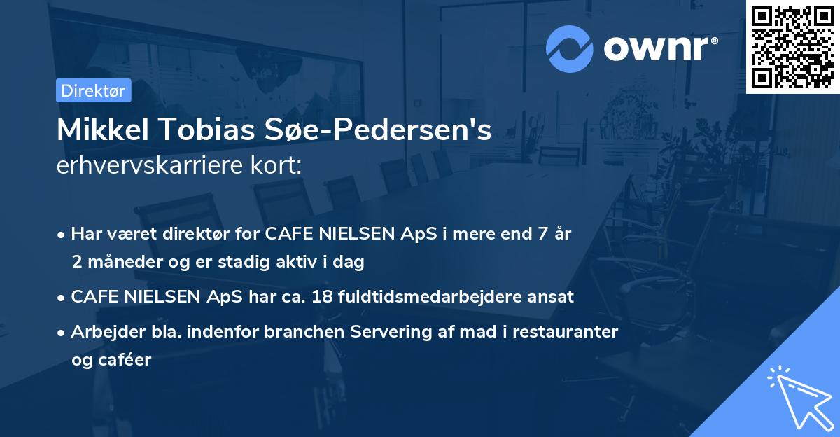 Mikkel Tobias Søe-Pedersen's erhvervskarriere kort