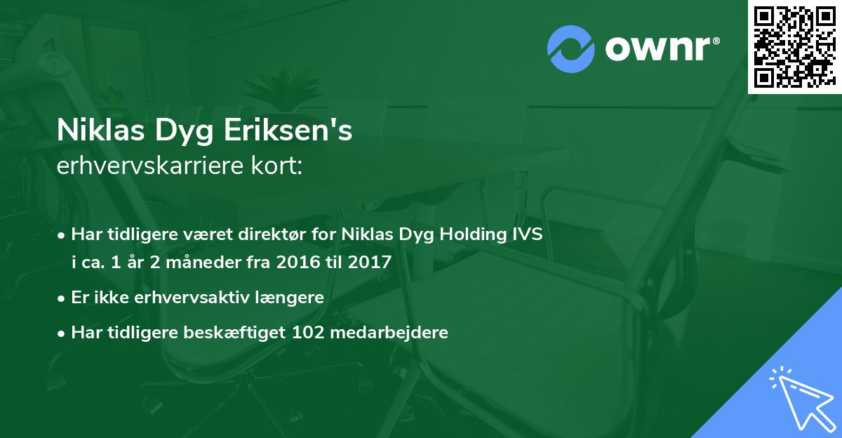 Niklas Dyg Eriksen's erhvervskarriere kort