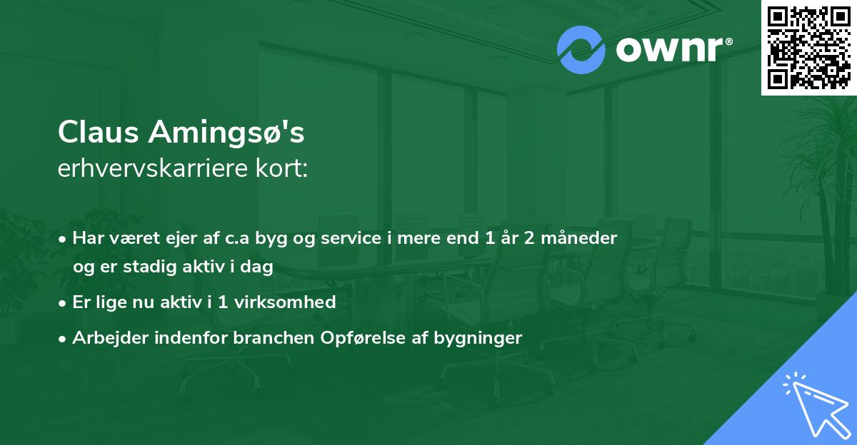 Claus Amingsø's erhvervskarriere kort