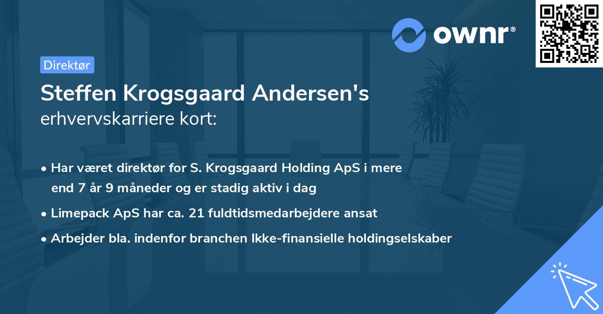 Steffen Krogsgaard Andersen's erhvervskarriere kort