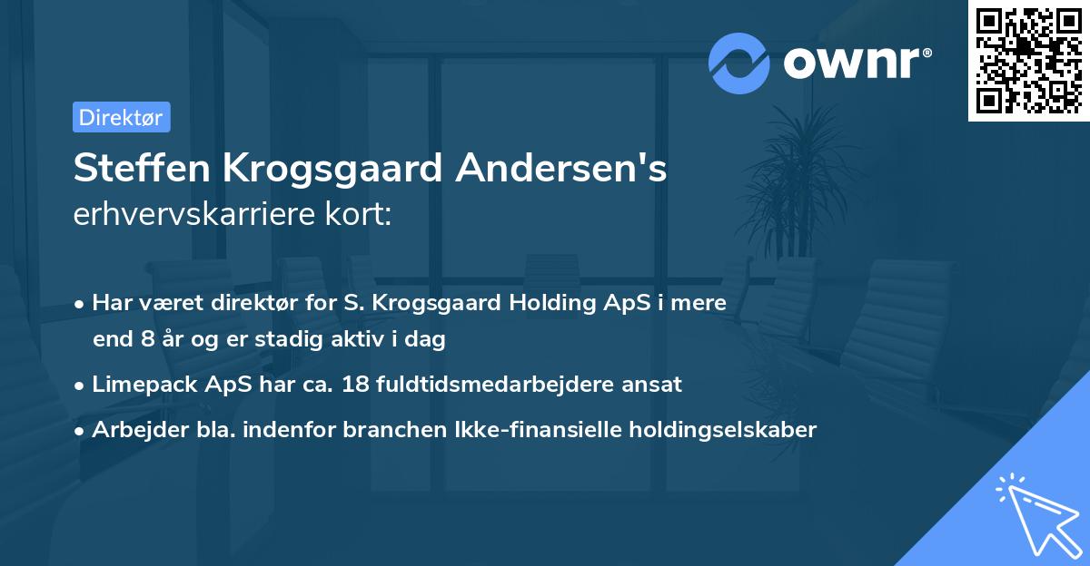 Steffen Krogsgaard Andersen's erhvervskarriere kort