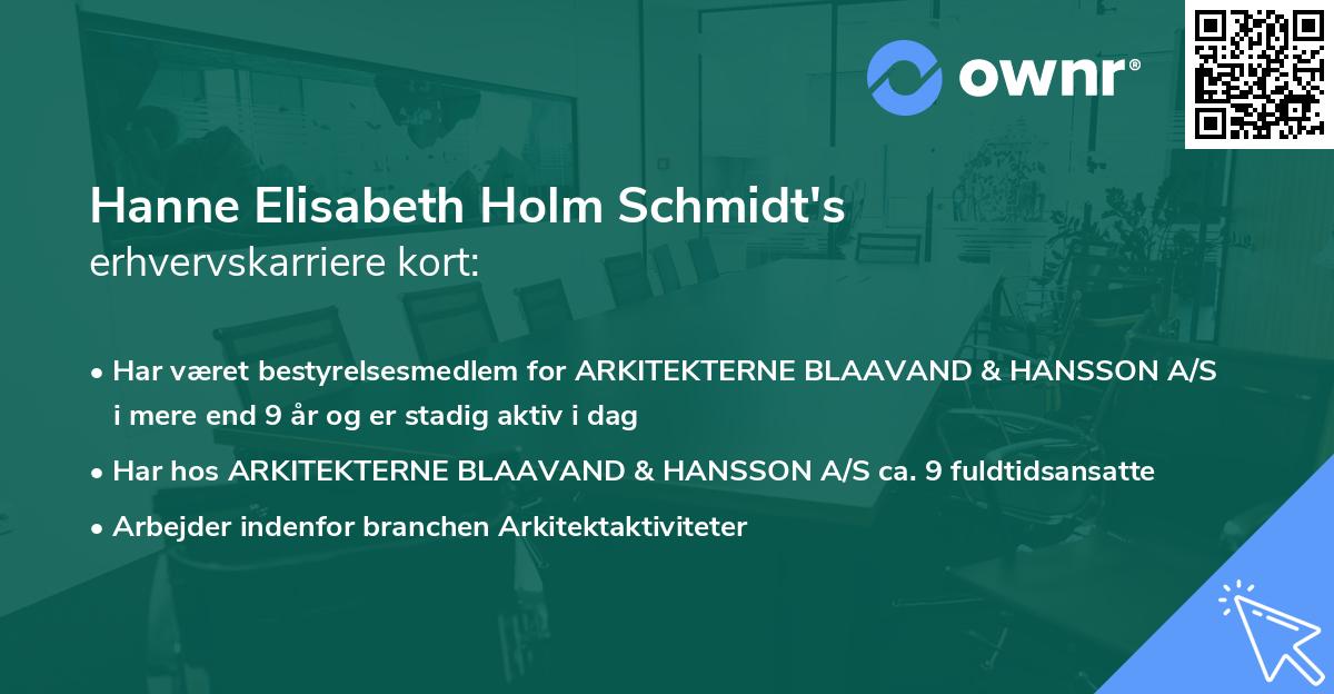 Hanne Elisabeth Holm Schmidt's erhvervskarriere kort