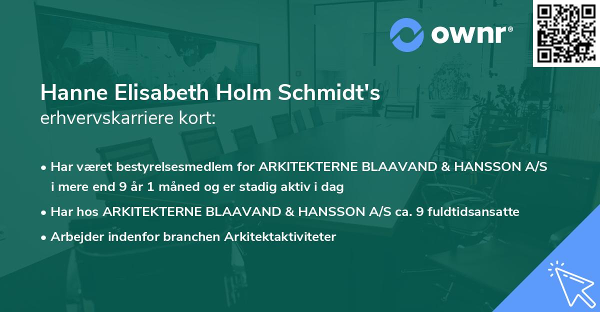 Hanne Elisabeth Holm Schmidt's erhvervskarriere kort
