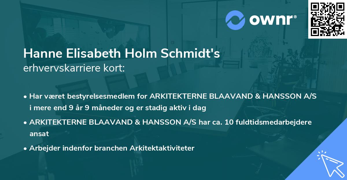 Hanne Elisabeth Holm Schmidt's erhvervskarriere kort