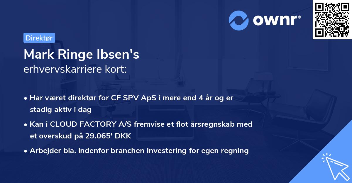 Mark Ringe Ibsen's erhvervskarriere kort