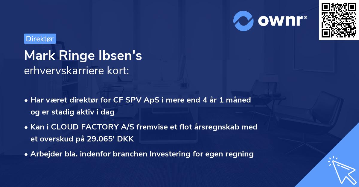 Mark Ringe Ibsen's erhvervskarriere kort