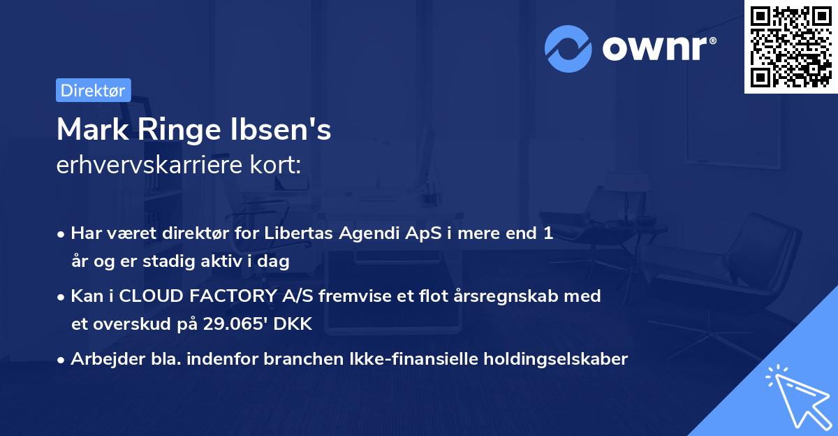Mark Ringe Ibsen's erhvervskarriere kort