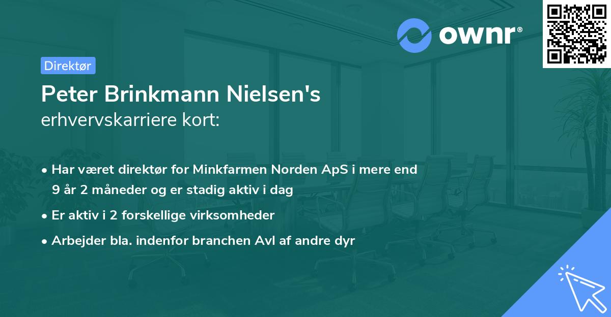 Peter Brinkmann Nielsen's erhvervskarriere kort
