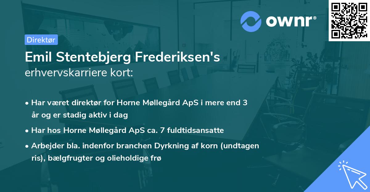 Emil Stentebjerg Frederiksen's erhvervskarriere kort