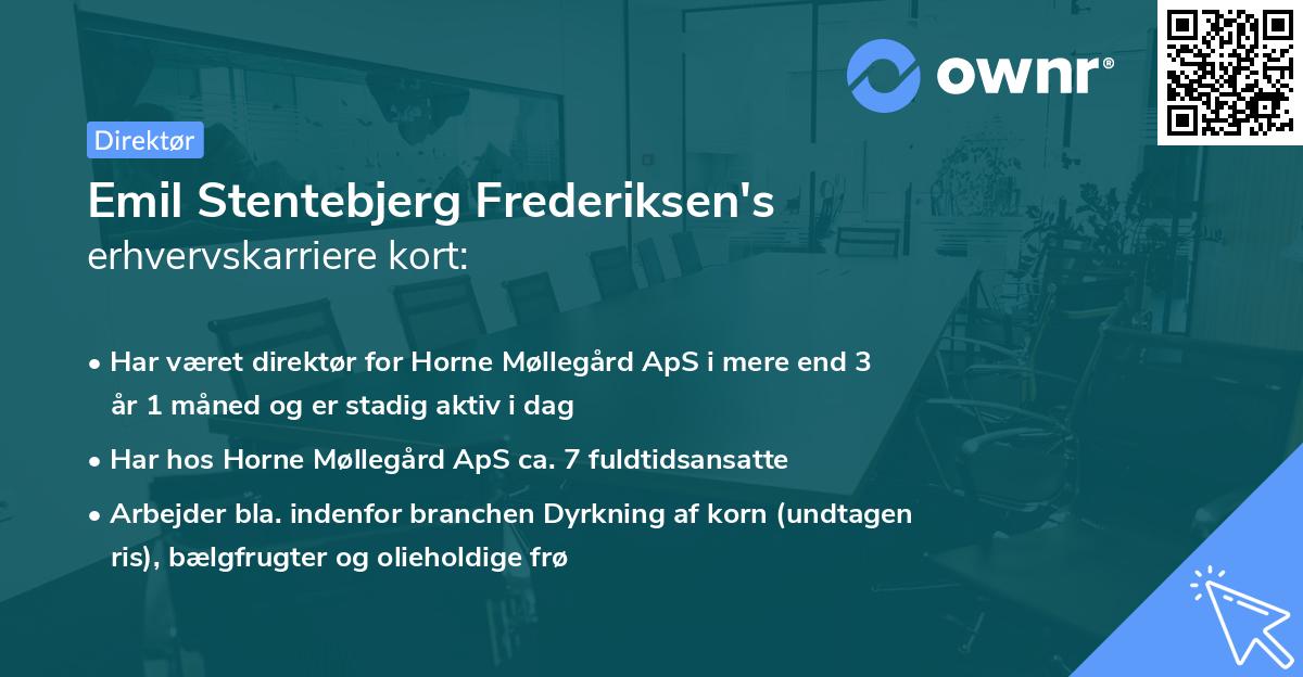Emil Stentebjerg Frederiksen's erhvervskarriere kort