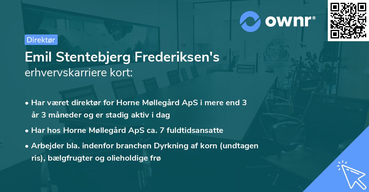 Emil Stentebjerg Frederiksen's erhvervskarriere kort