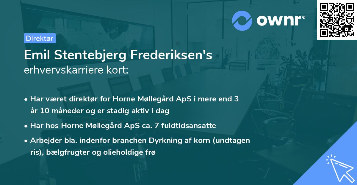 Emil Stentebjerg Frederiksen's erhvervskarriere kort